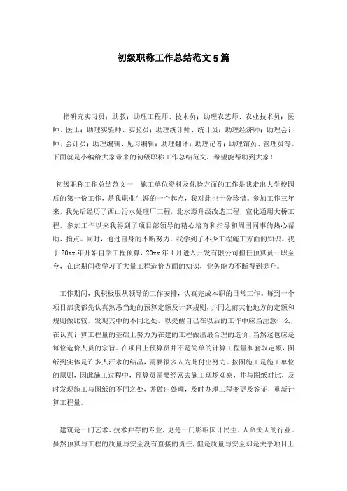 初级职称工作总结范文5篇
