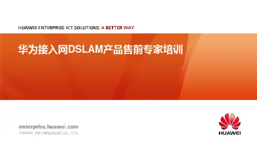华为接入网DSLAM产品介绍P