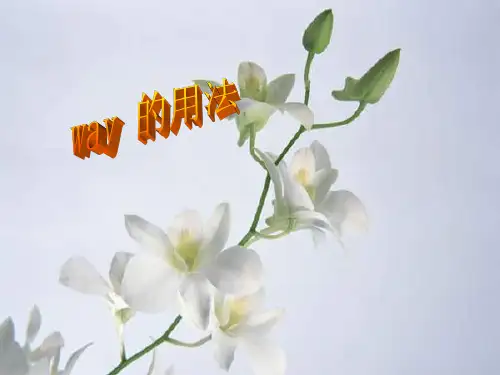 way的定语的形式及例句