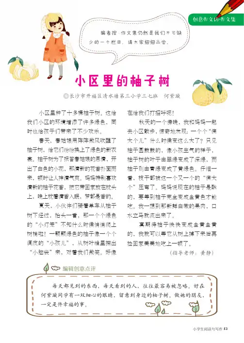 小区里的柚子树