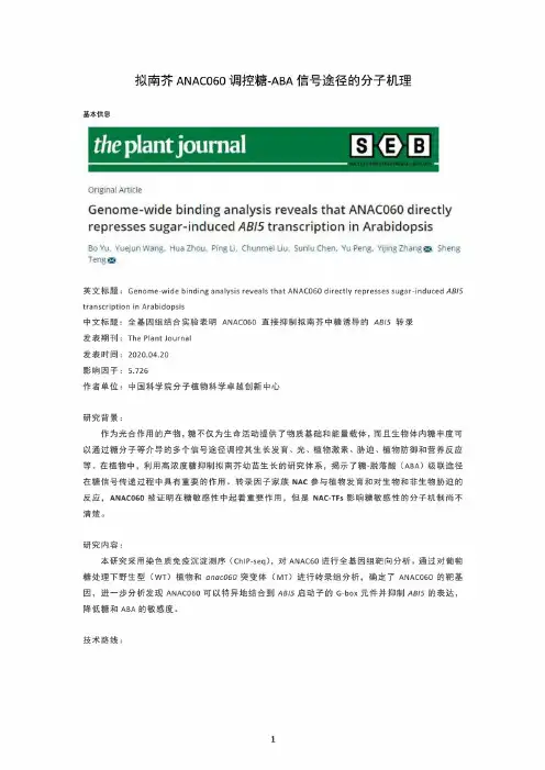 拟南芥ANAC060调控糖-ABA信号途径的分子机理