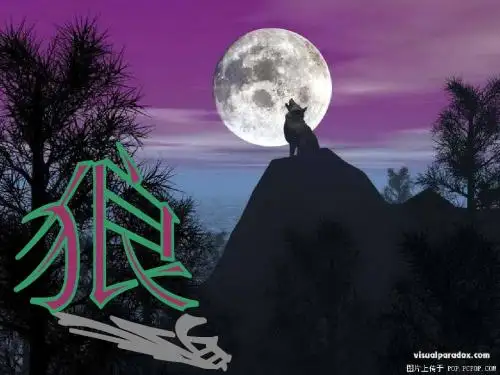 30狼