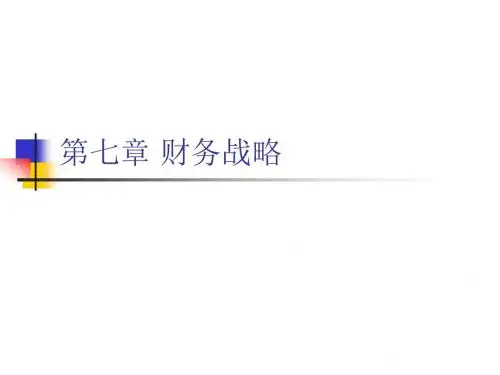 第七章财务战略