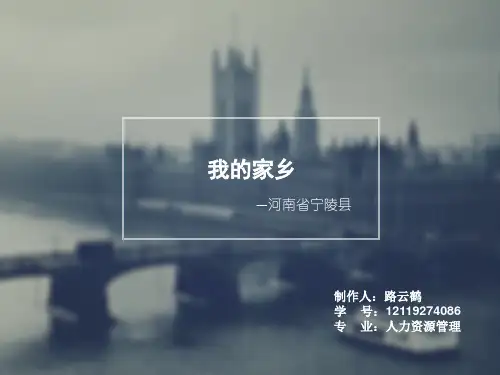我的家乡宁陵县