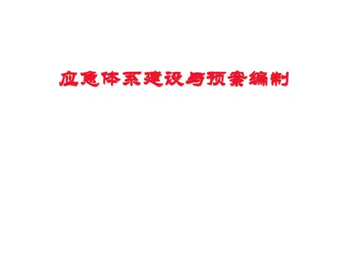应急体系建立