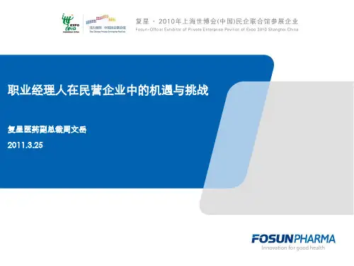 职业经理人在民营企业中的机遇与挑战