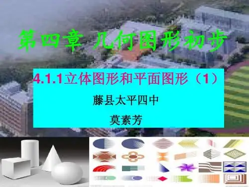 4.1.1立体图形与平面图形(2013人教版新)