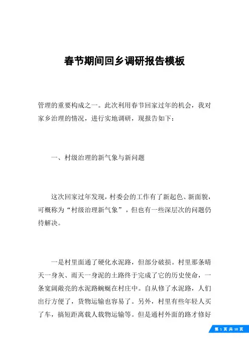 春节期间回乡调研报告模板
