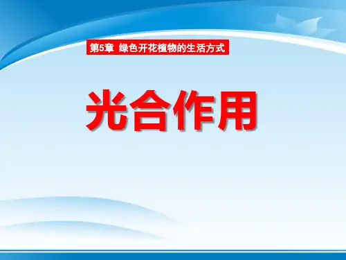 《光合作用》PPT课件