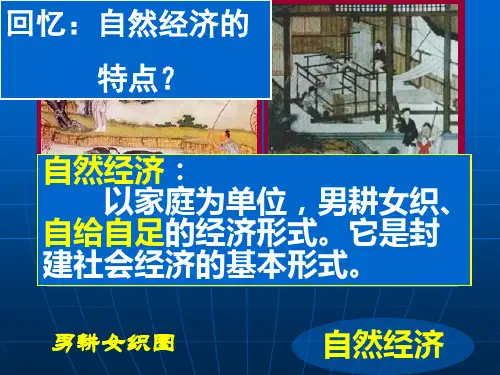 近代中国经济结构的变动