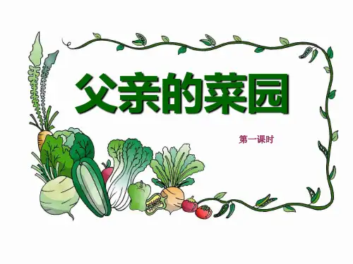 父亲的菜园(3)