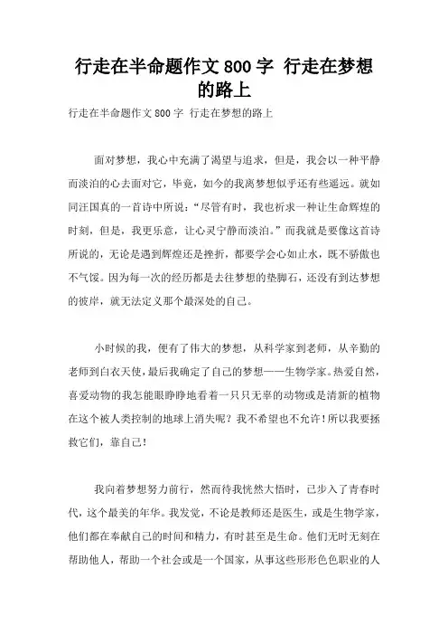 行走在半命题作文800字 行走在梦想的路上