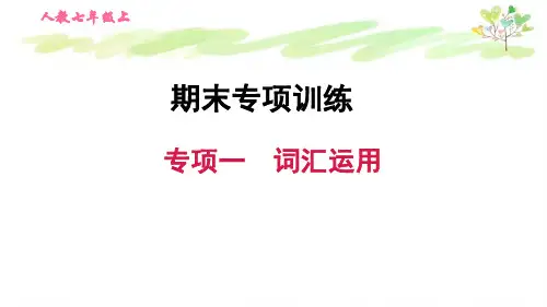 人教七年级上册英语专项一 词汇运用
