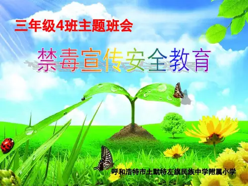 禁毒宣传安全教育主题班会PPT幻灯片