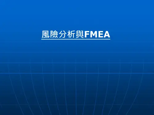 风险分析与FMEA