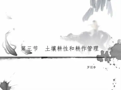 土壤耕性和耕作管理PPT课件