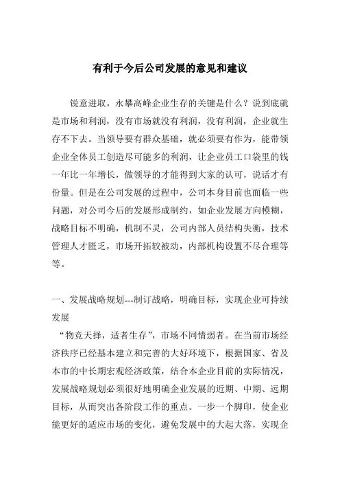 关于公司未来发展的建议和意见