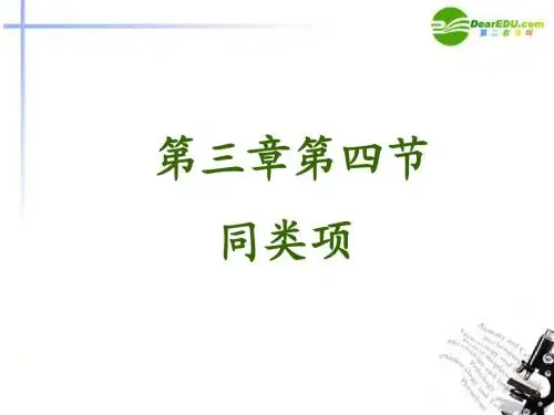 修改《同类项》