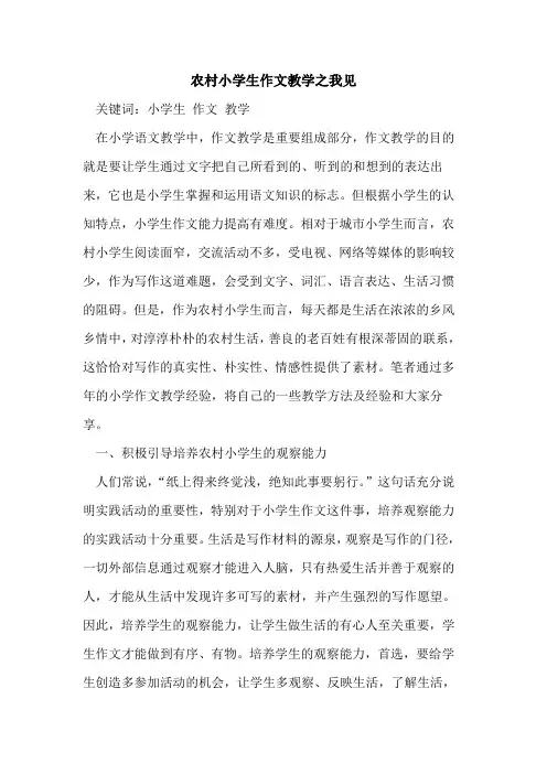 农村小学生作文教学之我见