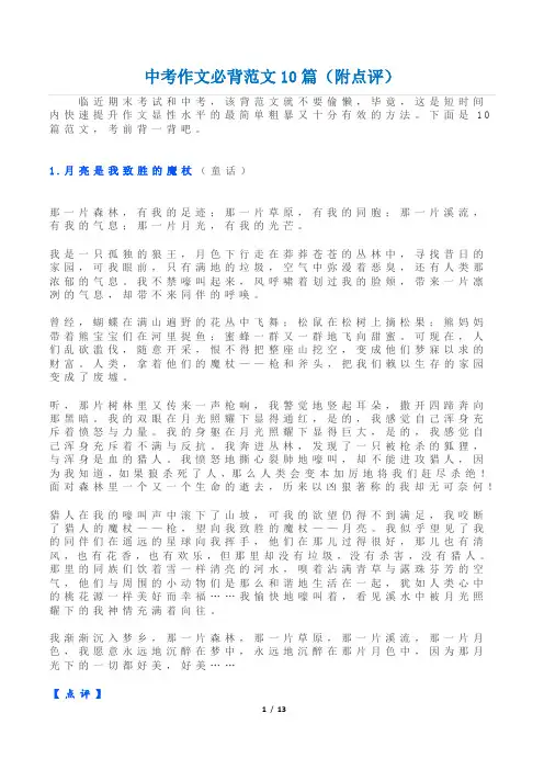 中考作文必背范文10篇(附点评)