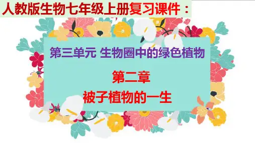 人教版生物七年级上册 复习课件:第三单元 第二章 被子植物的一生