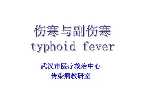伤寒 PPT课件