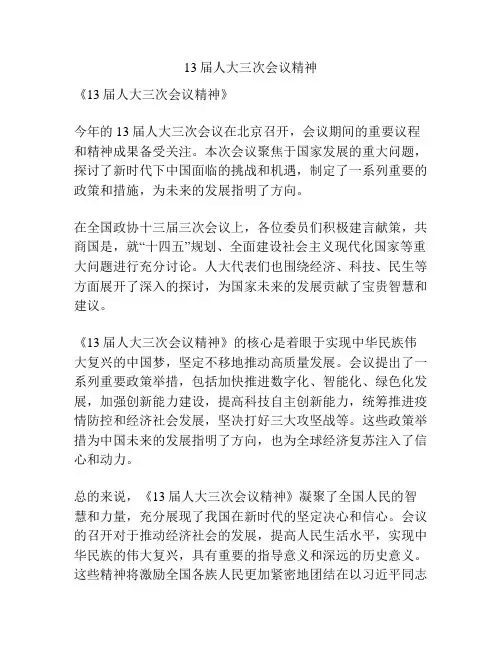 13届人大三次会议精神