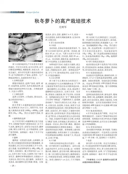 秋冬萝卜的高产栽培技术