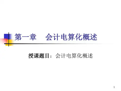 【精品】会计电算化课件