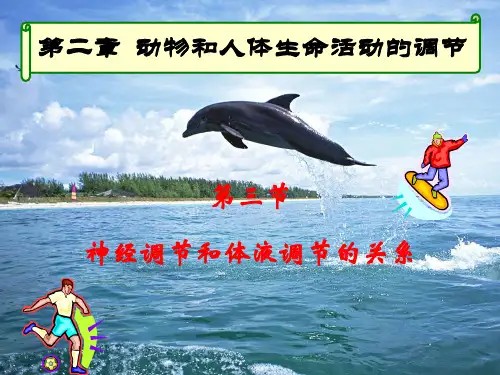 神经调节与体液调节关系ppt