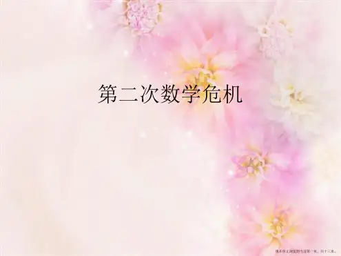第二次数学危机