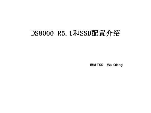 DS8000 R5.1和SSD配置介绍