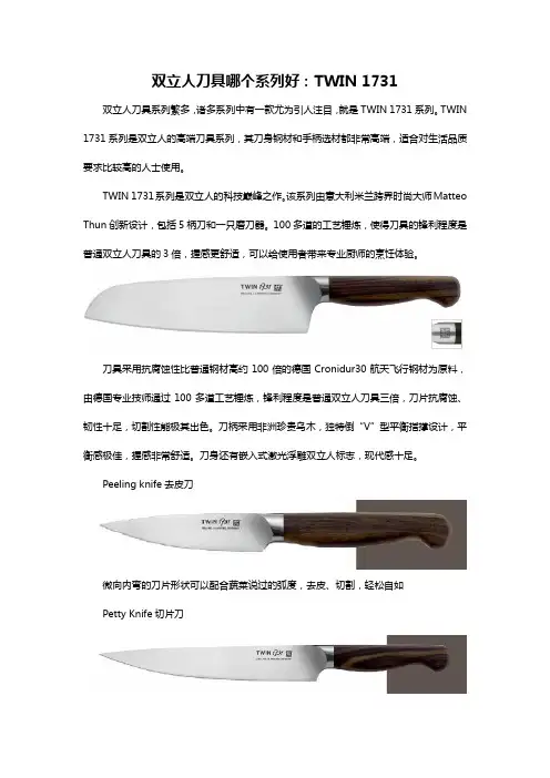 双立人刀具哪个系列好：TWIN 1731