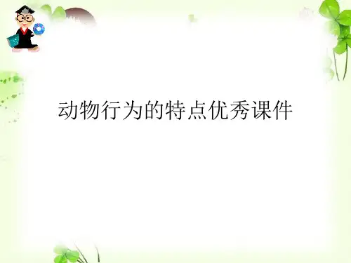 动物行为的特点优秀课件