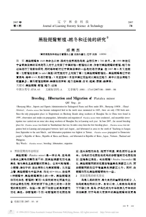 黑脸琵鹭繁殖_越冬和迁徙的研究_邱英杰