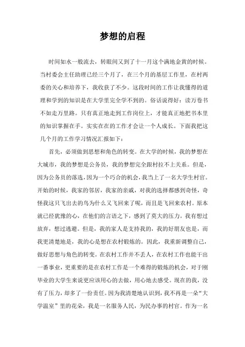 大学生村官助理工作总结