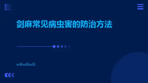 剑麻常见病虫害的防治方法
