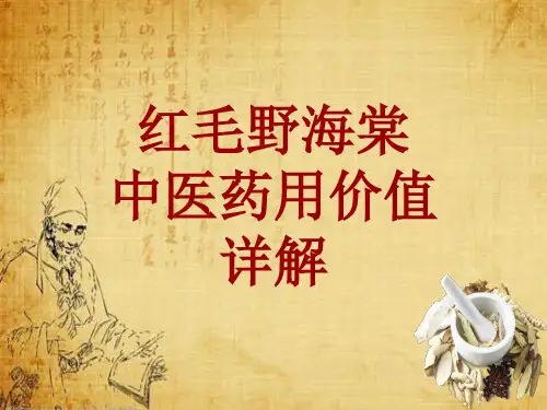 中药学_红毛野海棠_药材详解课件模板