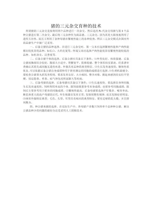 猪的三元杂交育种的技术