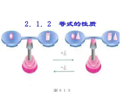 等式的性质1
