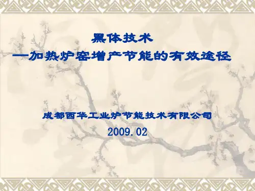 黑体技术