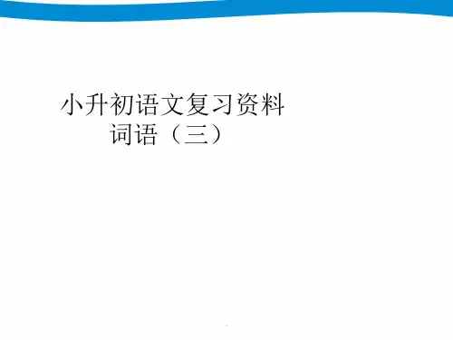 小升初专项复习——词语学习PPT课件