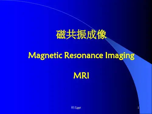 《MRI成像基本原理》PPT课件