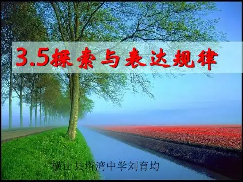 探索与表达规律822104