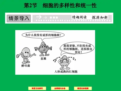 《细胞的多样性和统一性》课件