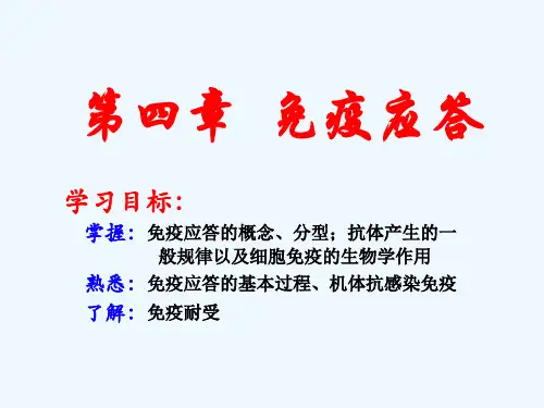 免疫应答