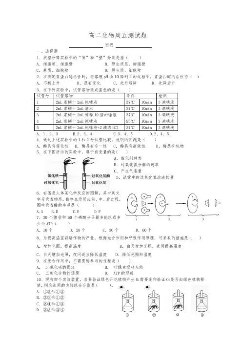 高中生物必修一第五章练习题