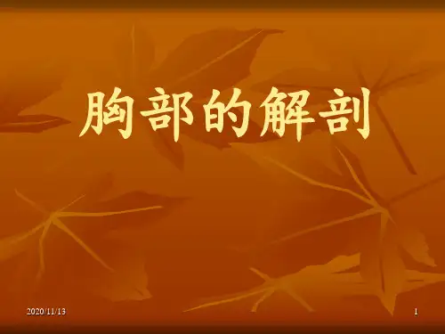 1胸部正常解剖 ppt课件