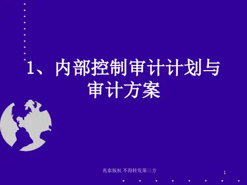 内部控制审计流程与案例分析