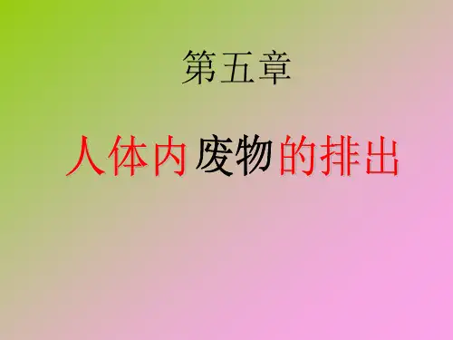 尿液的形成和排出